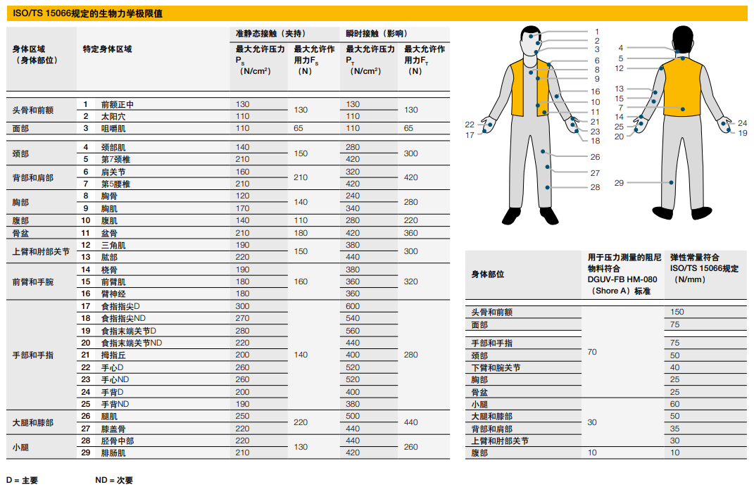 身体部位-1.png